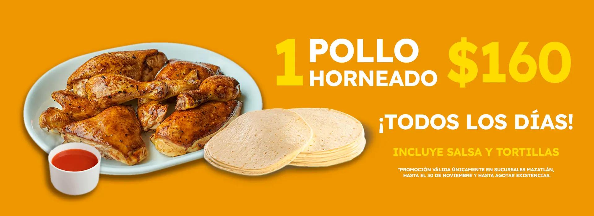 pollo horneado 160