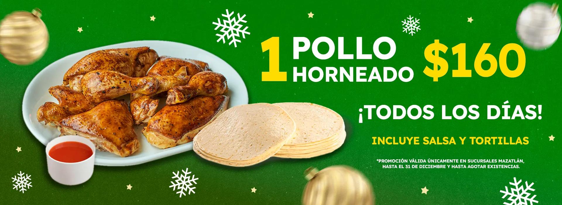 pollo horneado 160